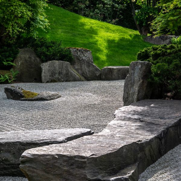 Japanese stone garden with maple